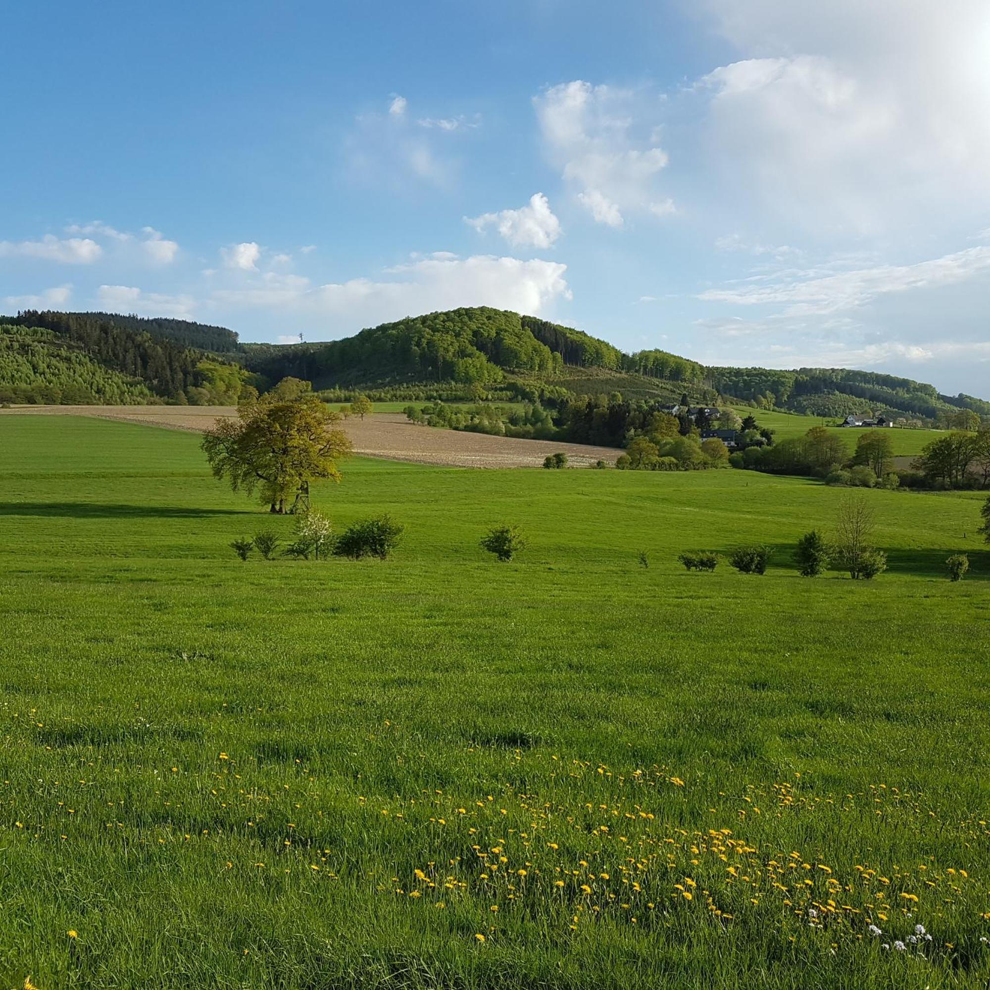 Freundliche Unterkunft Sauerland Meschede Kültér fotó