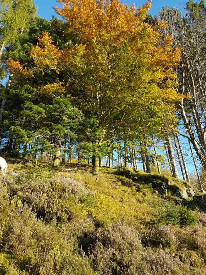 Freundliche Unterkunft Sauerland Meschede Kültér fotó